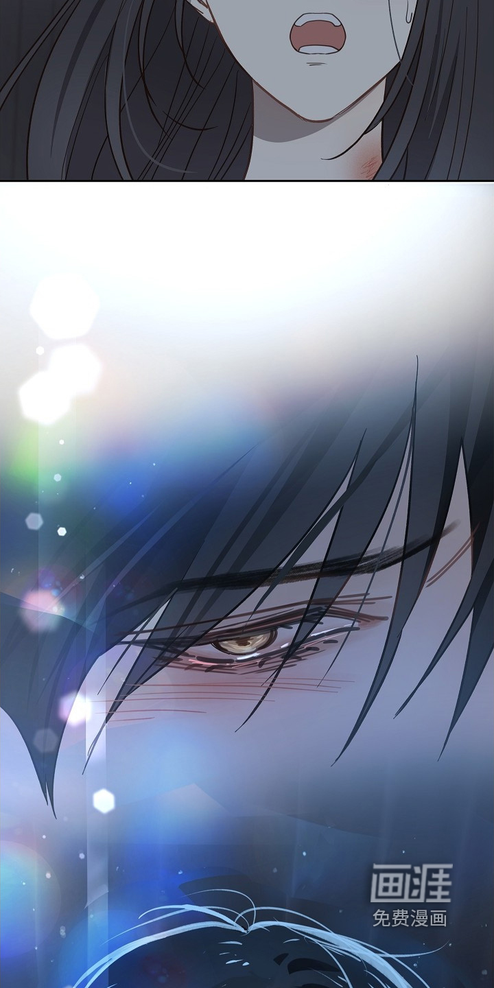 花是诱饵第49话图