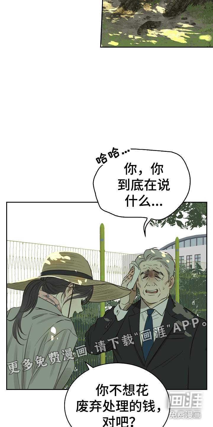 花是诱饵第5话图