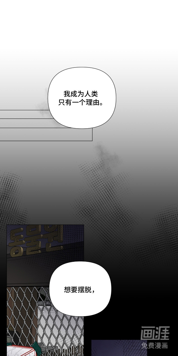 虎坠人间第14话图