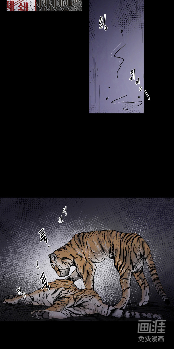 虎坠人间第14话图