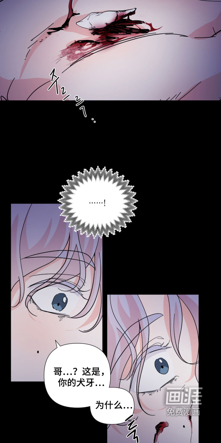 虎坠人间 第17话 第9页