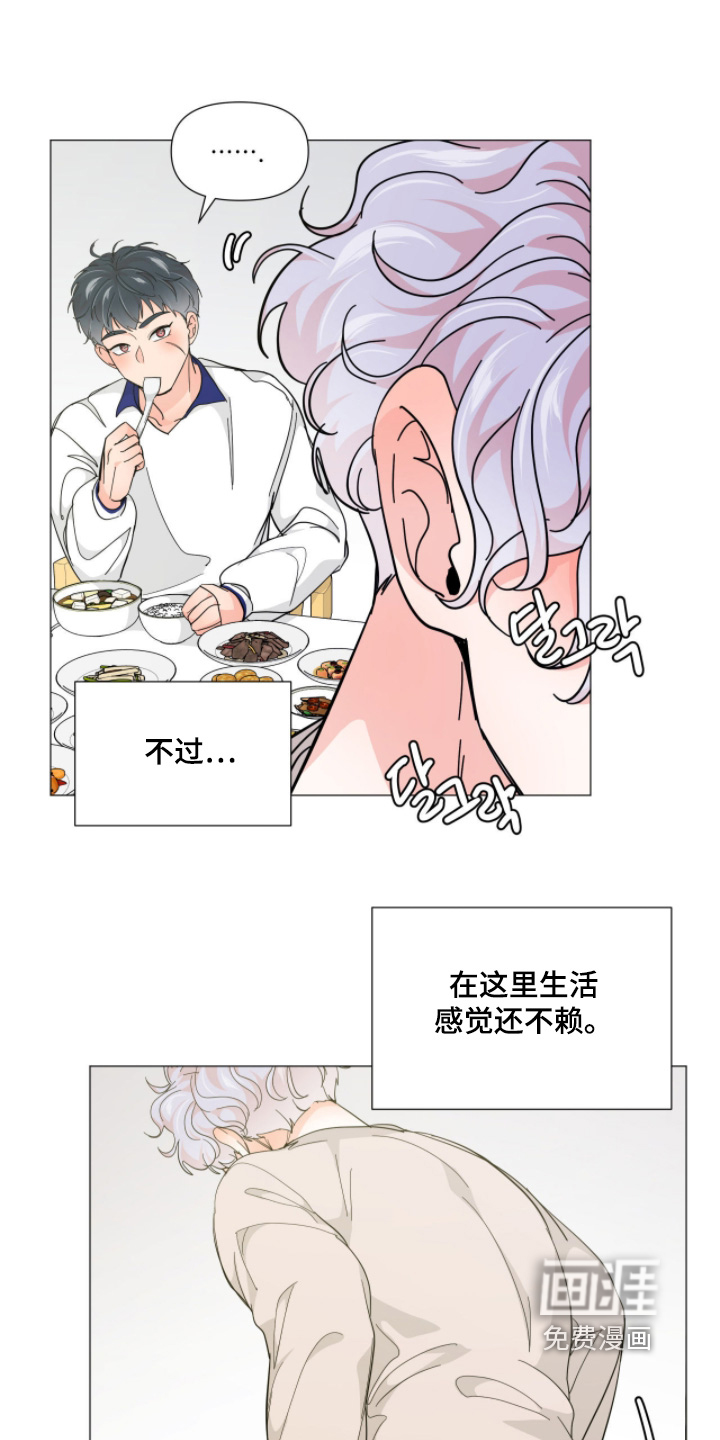 虎坠人间 第19话 第11页