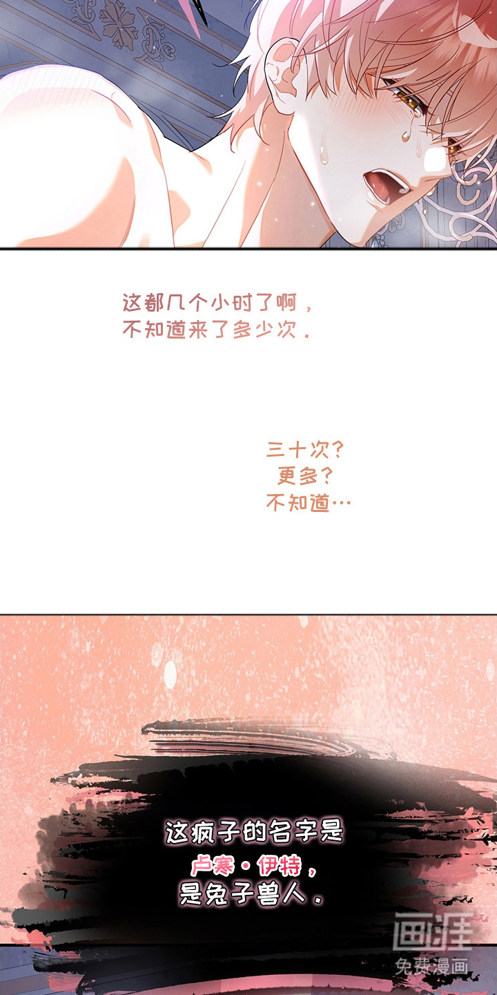 黑豹配偶超棘手 第1话 第2页