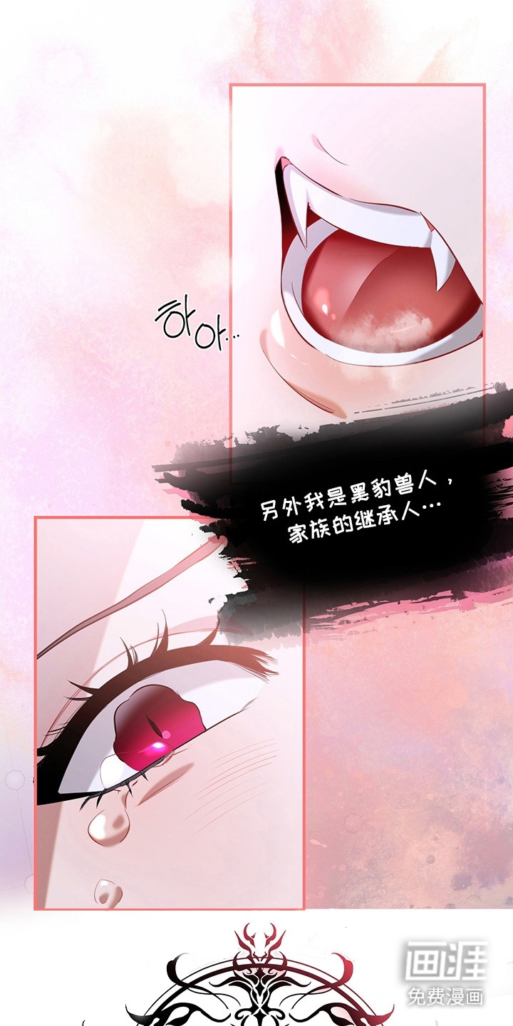 黑豹配偶超棘手 第1话 第4页