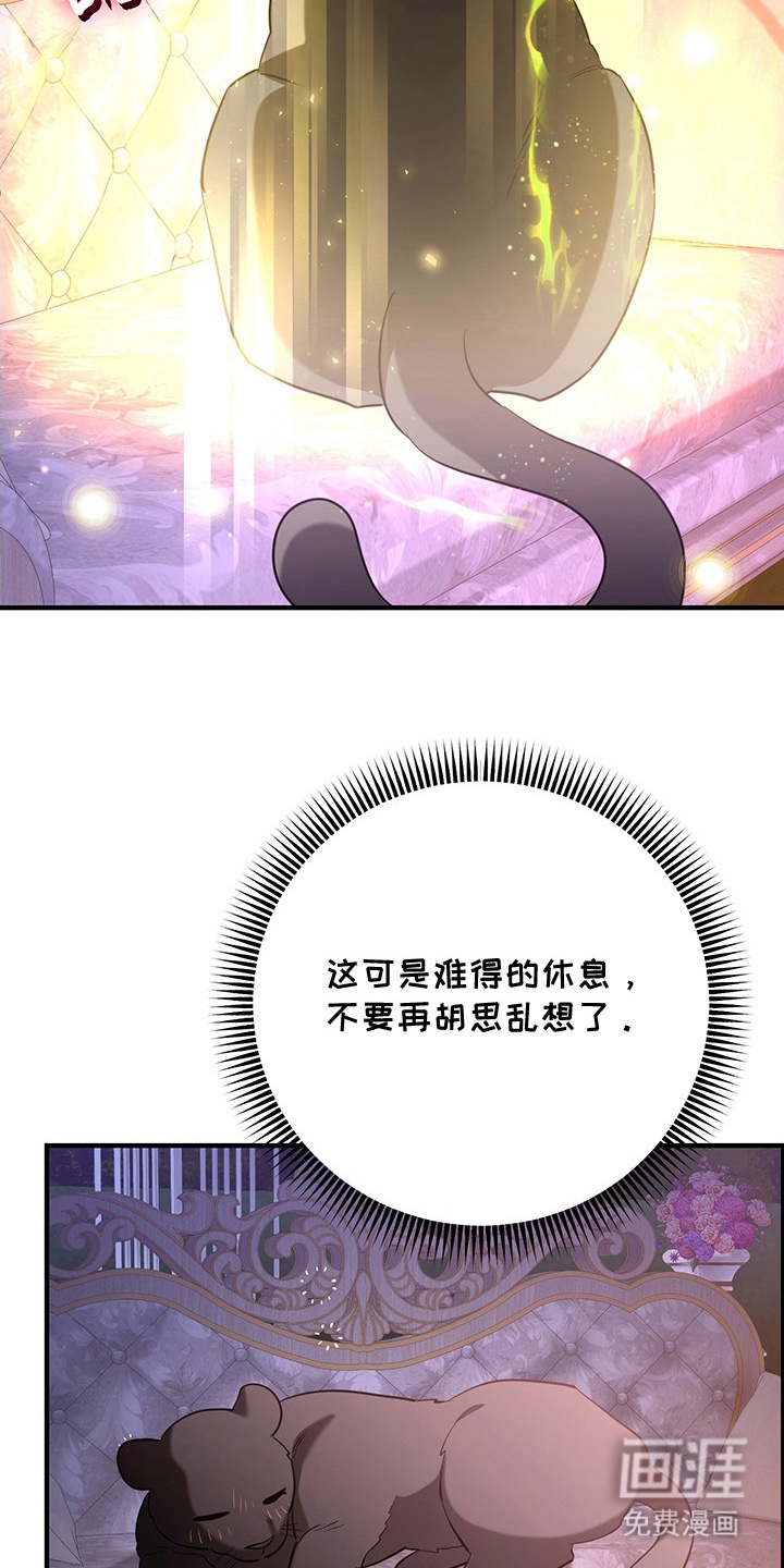 黑豹配偶超棘手 第4话 第6页