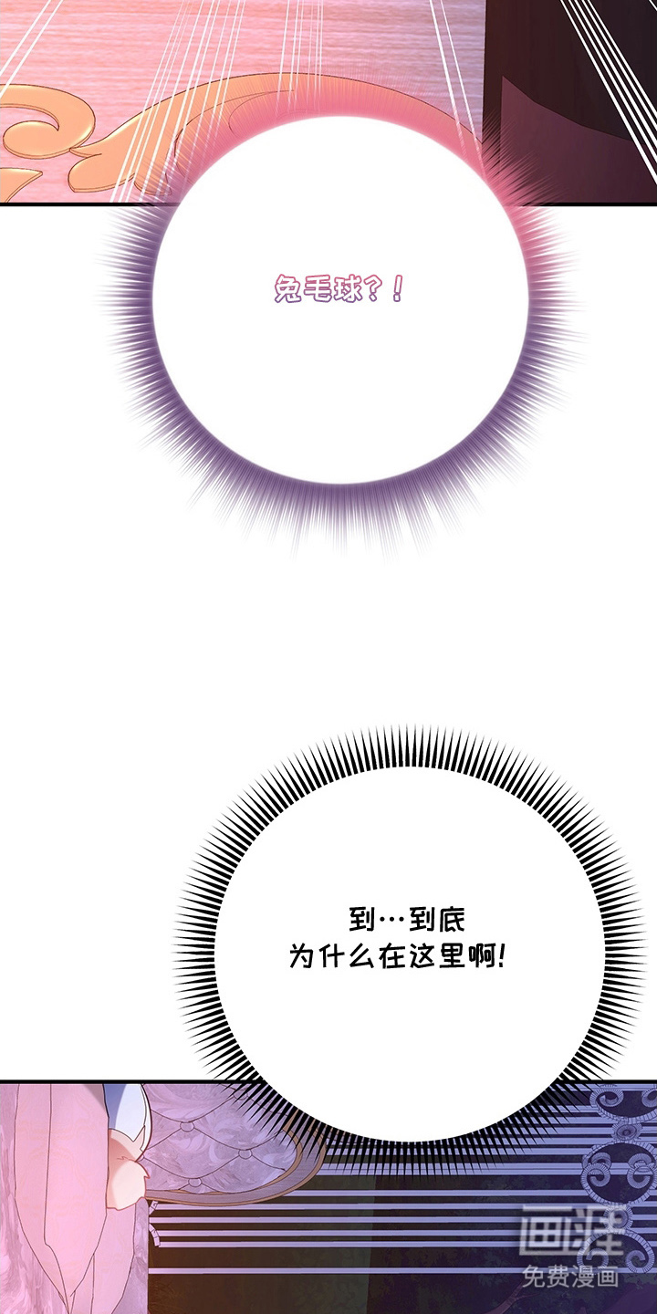 黑豹配偶超棘手 第4话 第10页