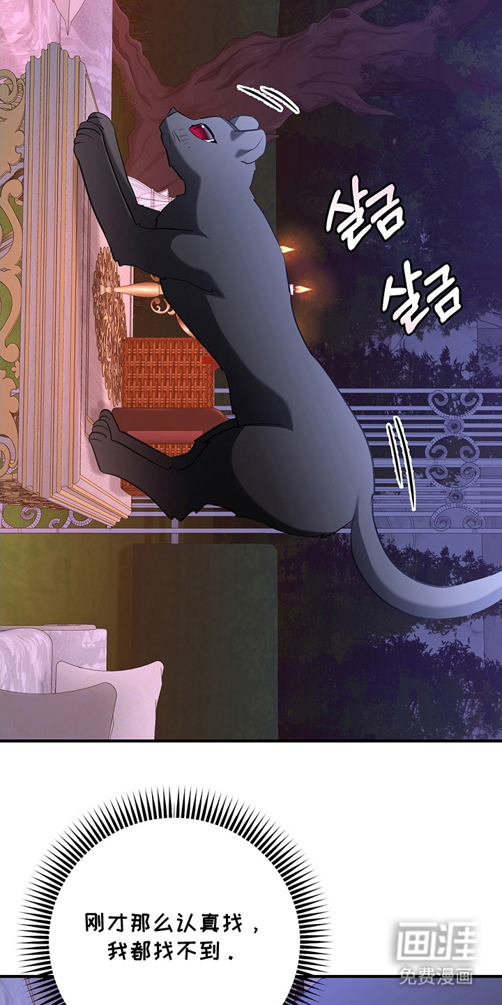 黑豹配偶超棘手 第4话 第11页