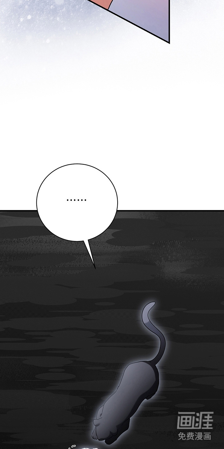 黑豹配偶超棘手第4话图