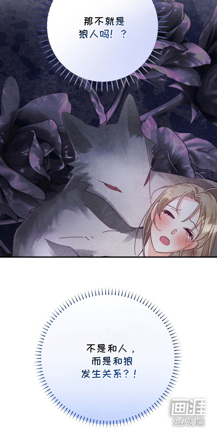 悔婚之夜第14话图