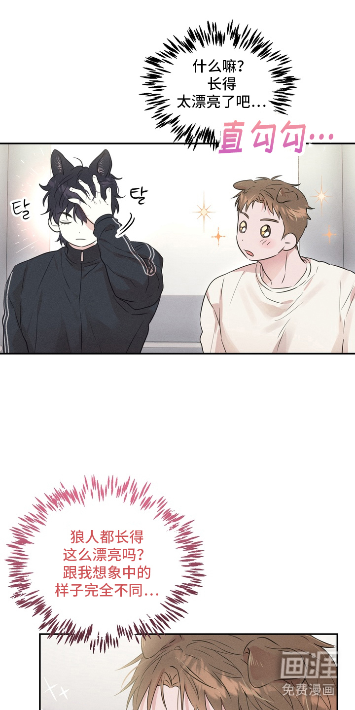 烘焙狂欢狼爪糖第3话图