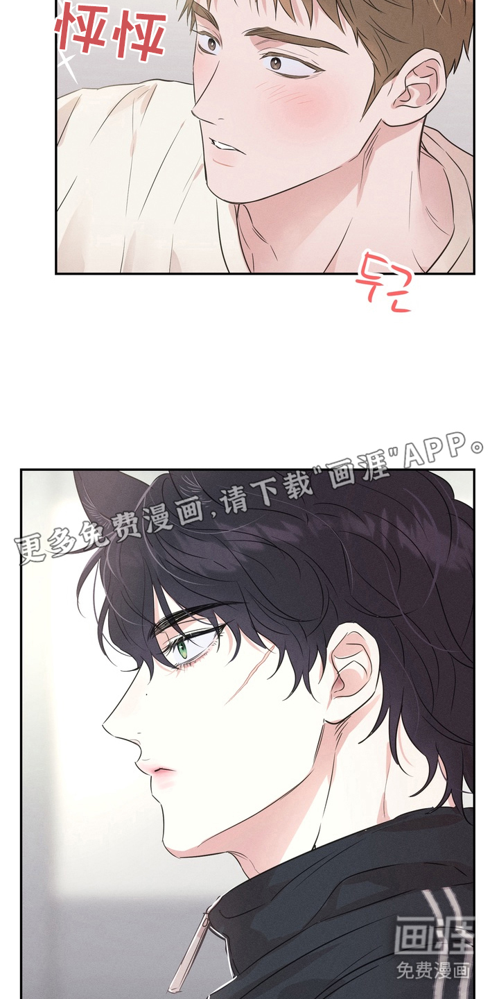 烘焙狂欢狼爪糖第3话图