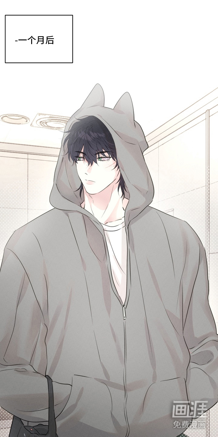 烘焙狂欢狼爪糖第4话图