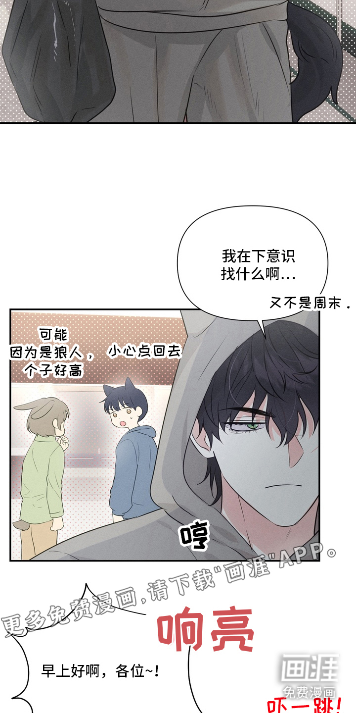 烘焙狂欢狼爪糖第4话图