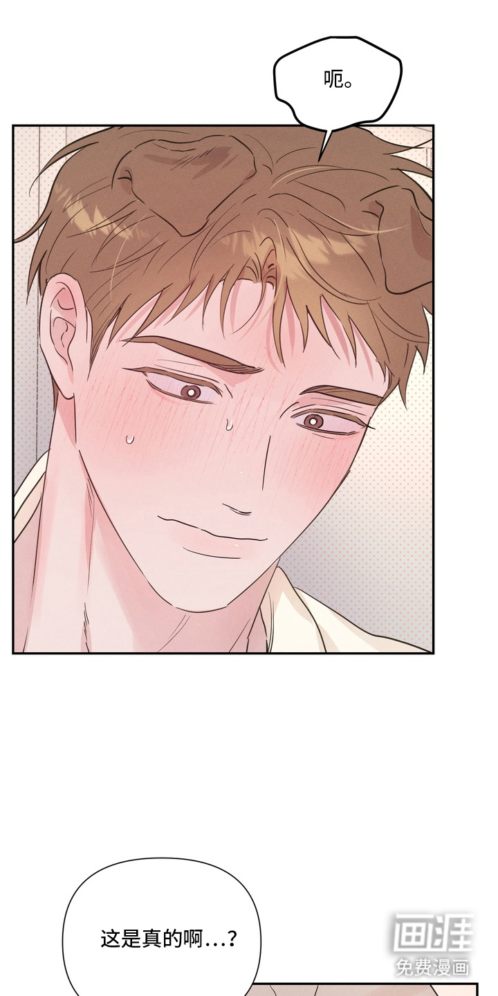 烘焙狂欢狼爪糖第5话图