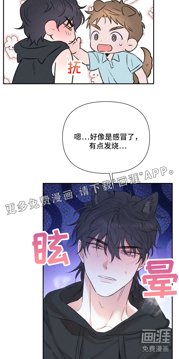 烘焙狂欢狼爪糖第6话图