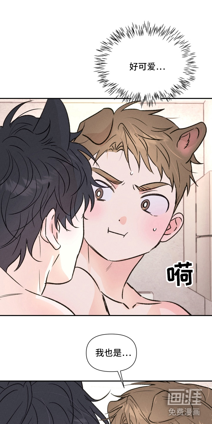 烘焙狂欢狼爪糖第9话图