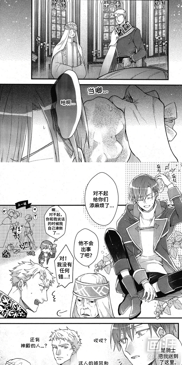 琥珀骑士第13话图