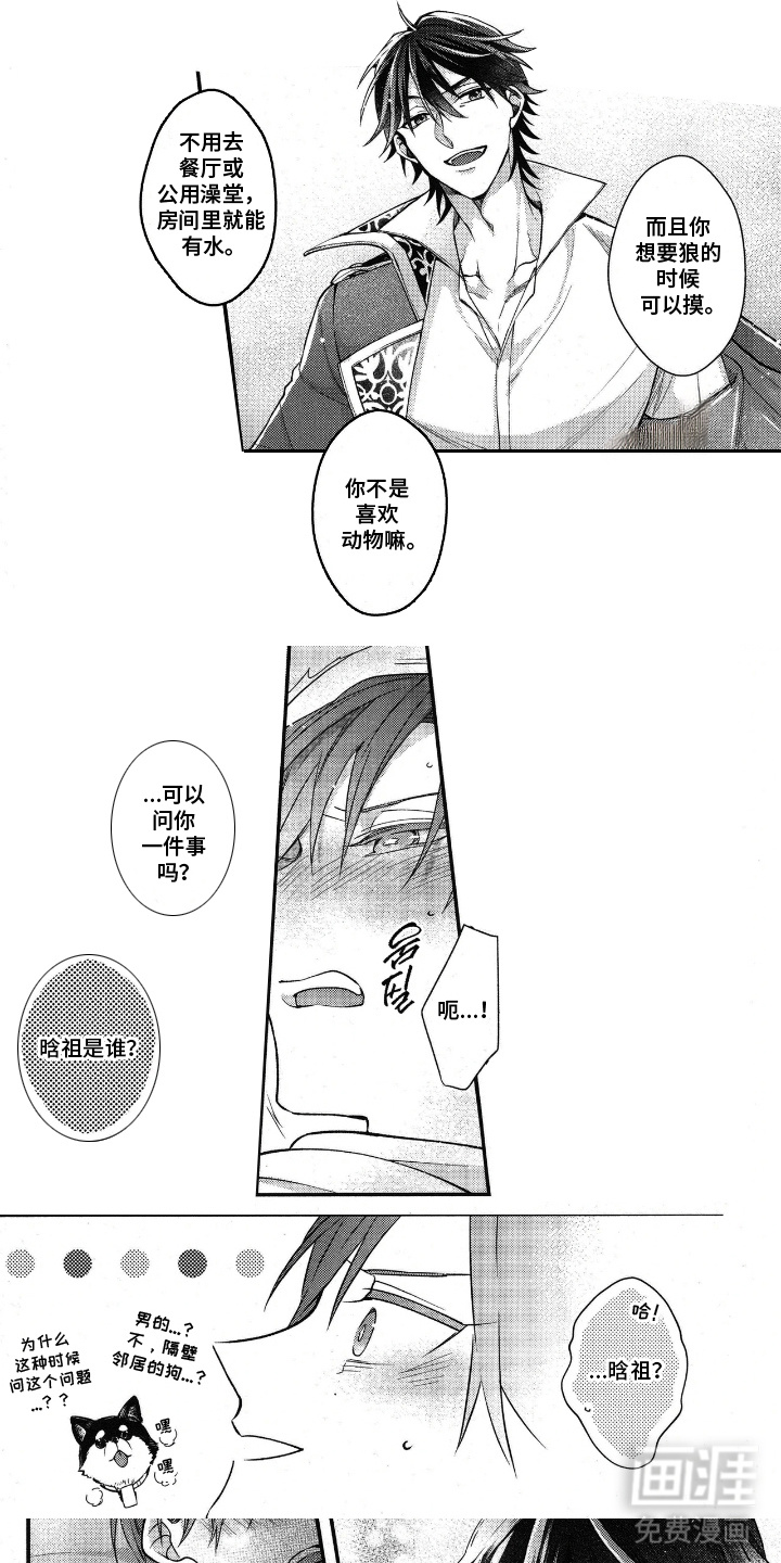 琥珀骑士第15话图