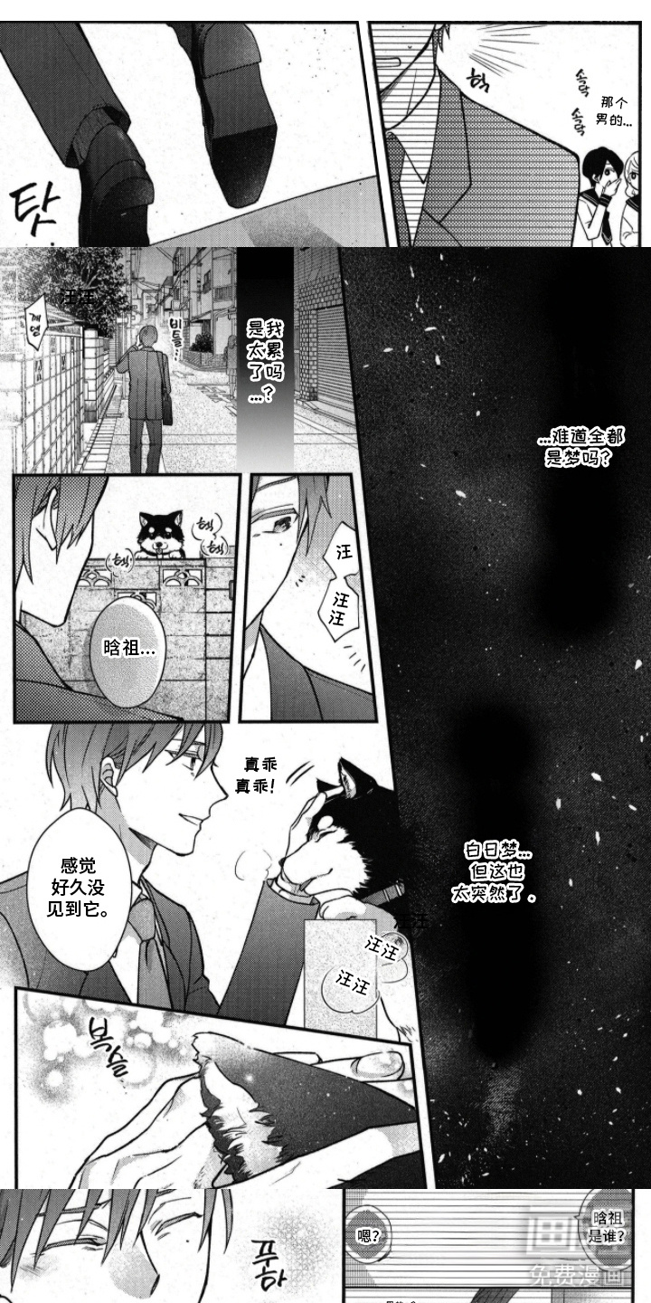 琥珀骑士第24话图