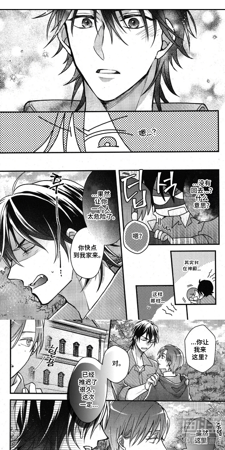 琥珀骑士第27话图