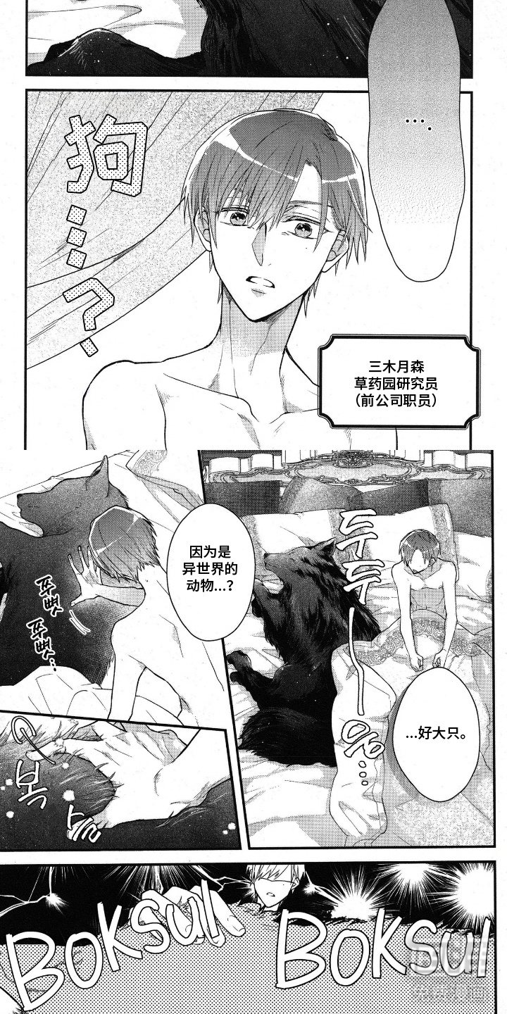 琥珀骑士第6话图