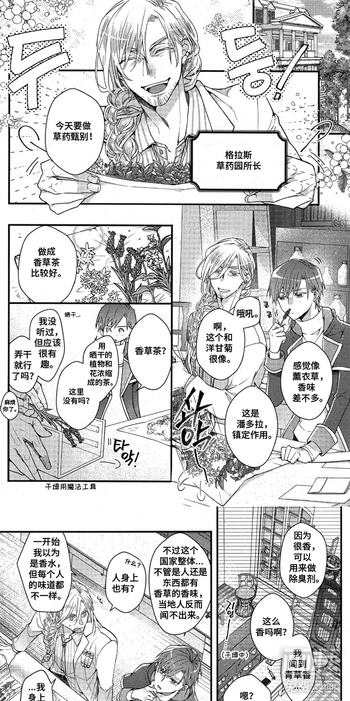 琥珀骑士第9话图