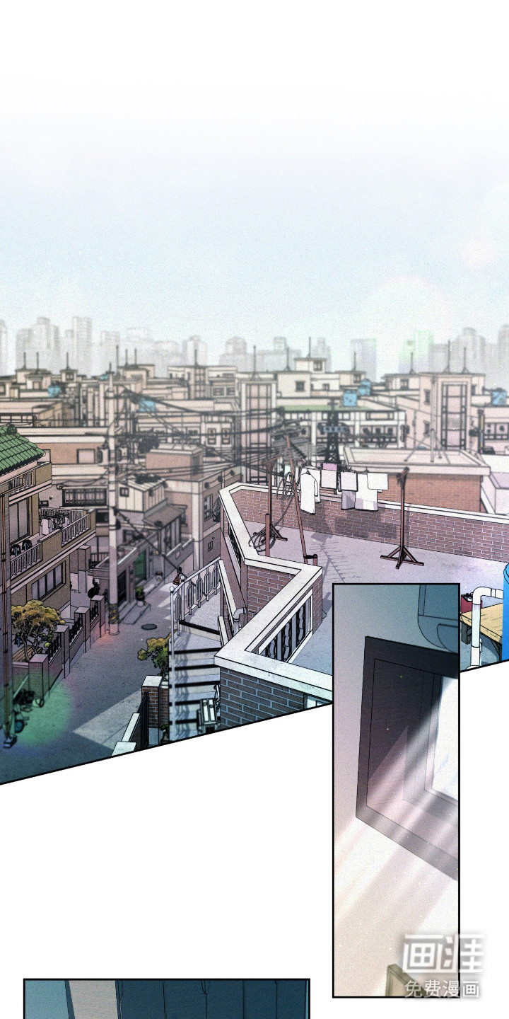 花烛为证第4话图