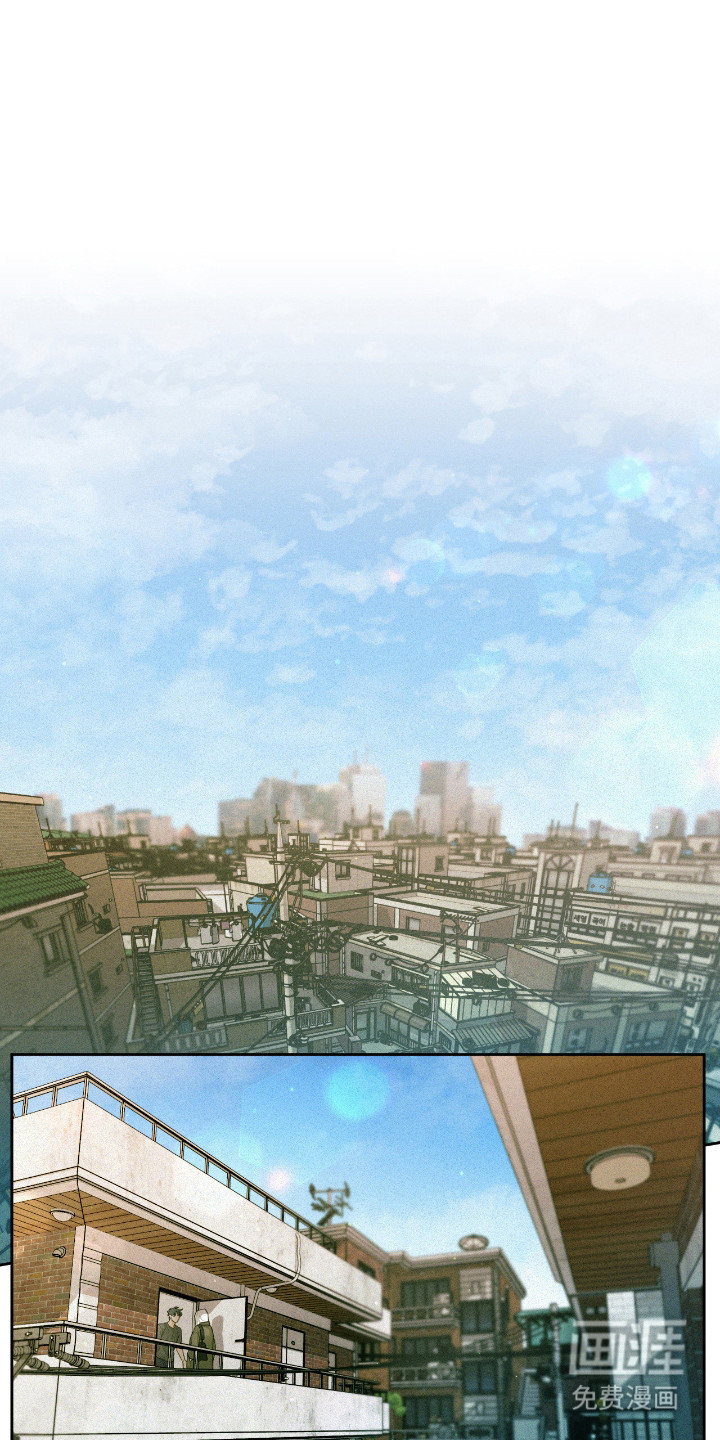 花烛为证第7话图