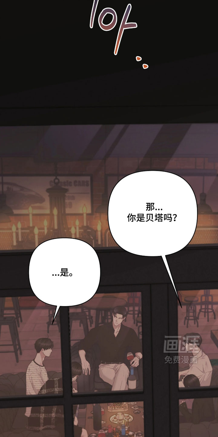 黄金阿尔法第22话图