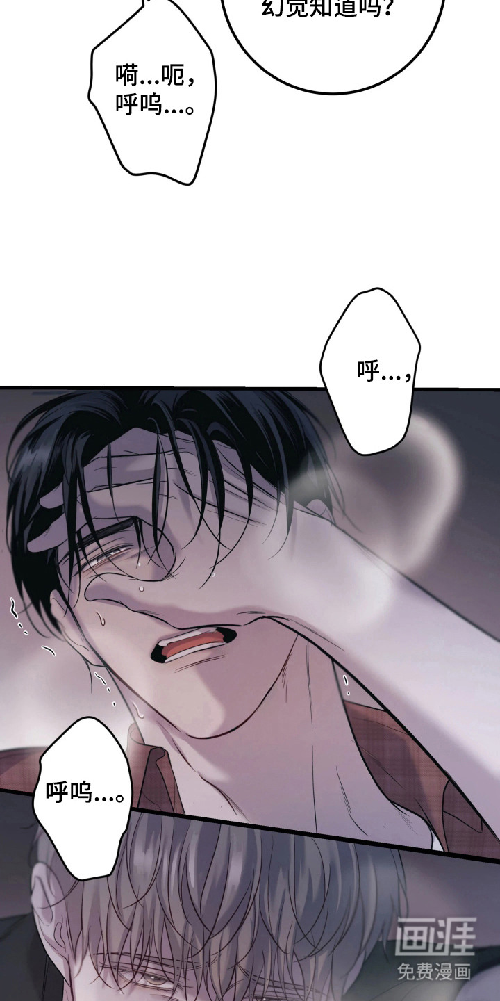 幻痛边境漫画-图13