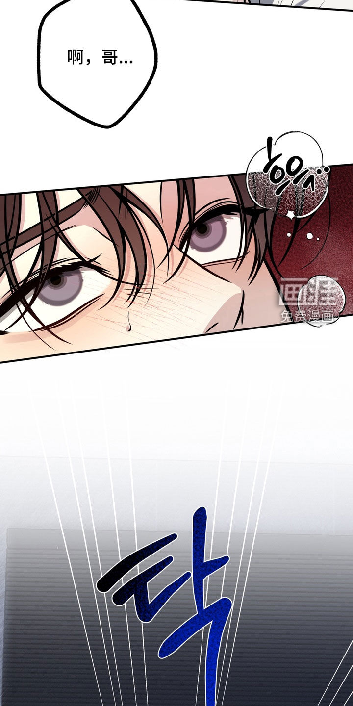 谎言剧本漫画-图3