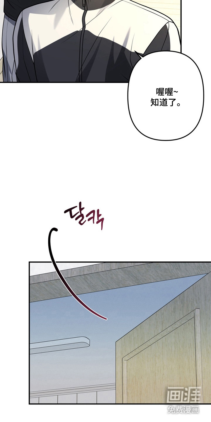 谎言剧本漫画-图4