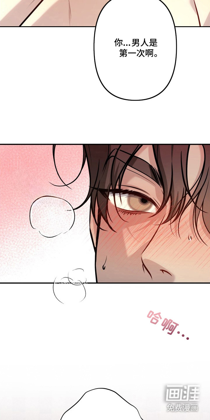 谎言剧本漫画-图19