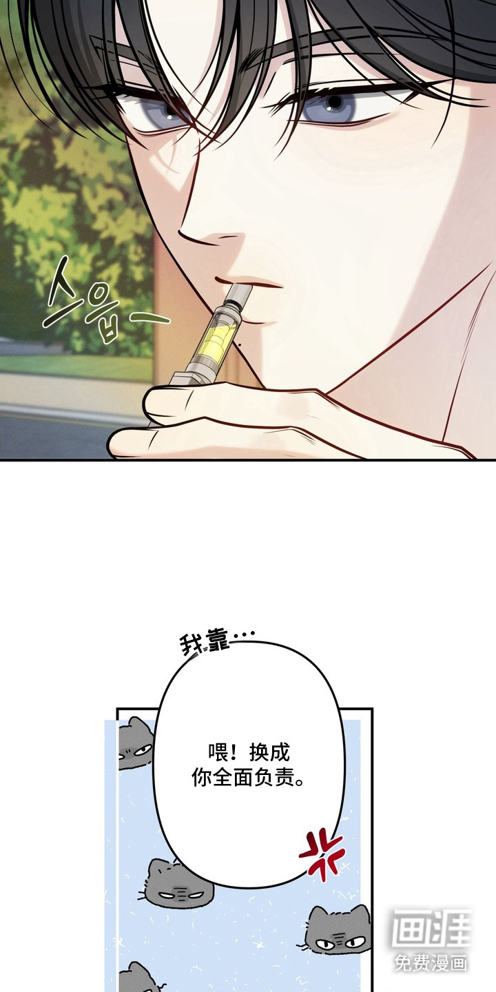 谎言剧本漫画-图14