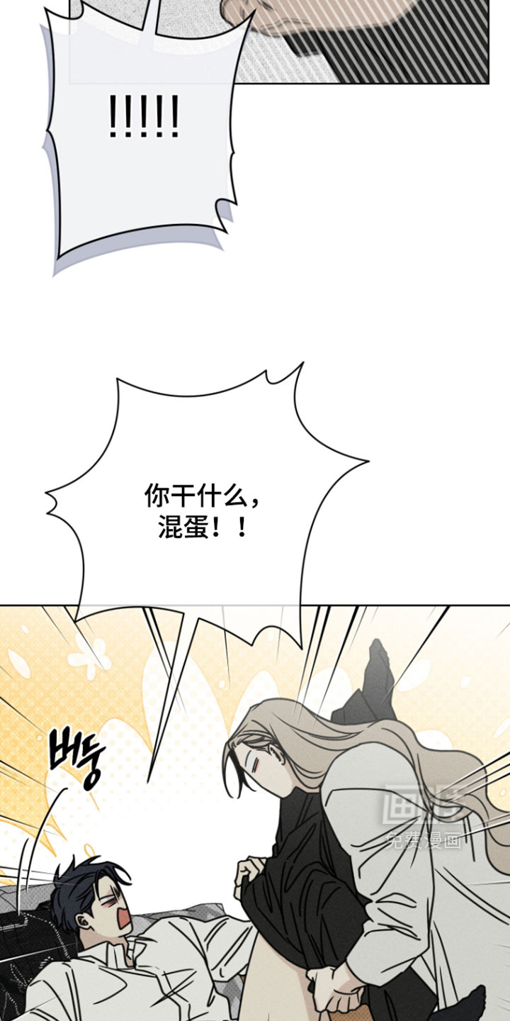 黑道规则漫画-图16