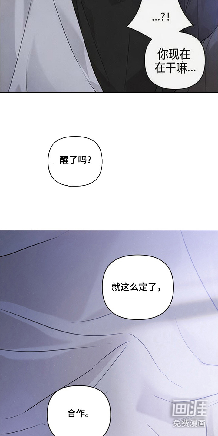 狐祸相依漫画-图4