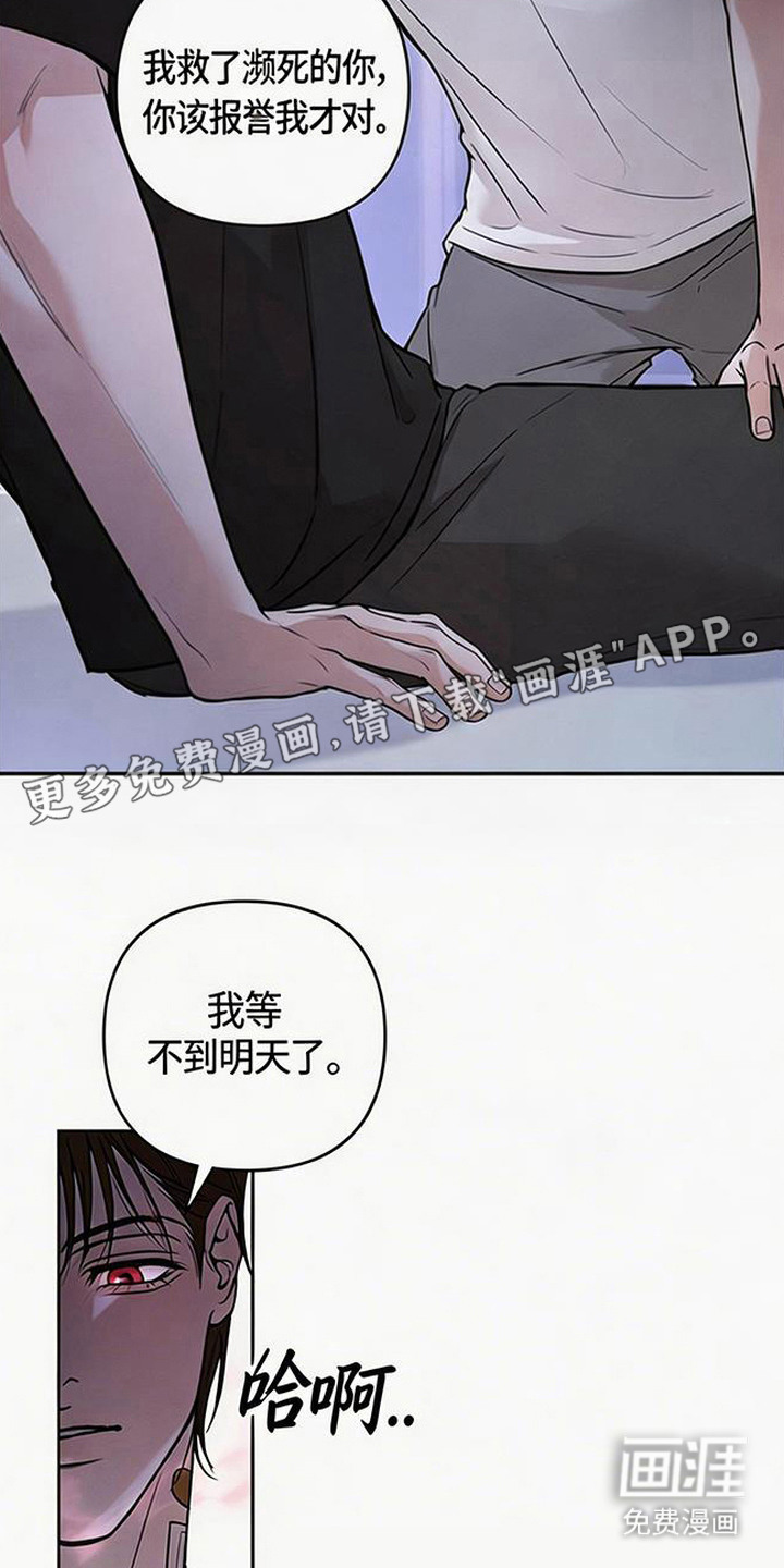 狐祸相依漫画-图14