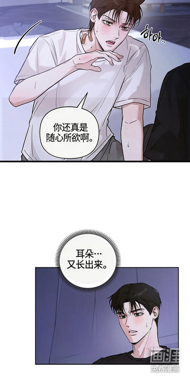 狐祸相依漫画-图3