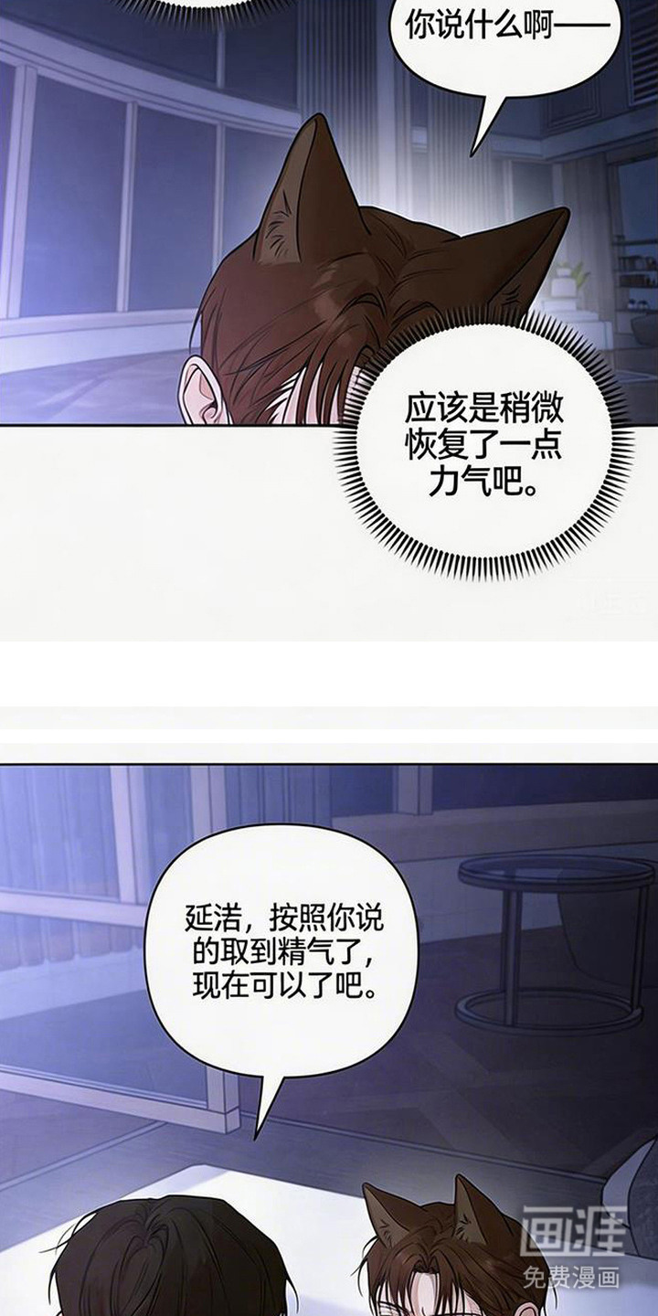 狐祸相依漫画-图11