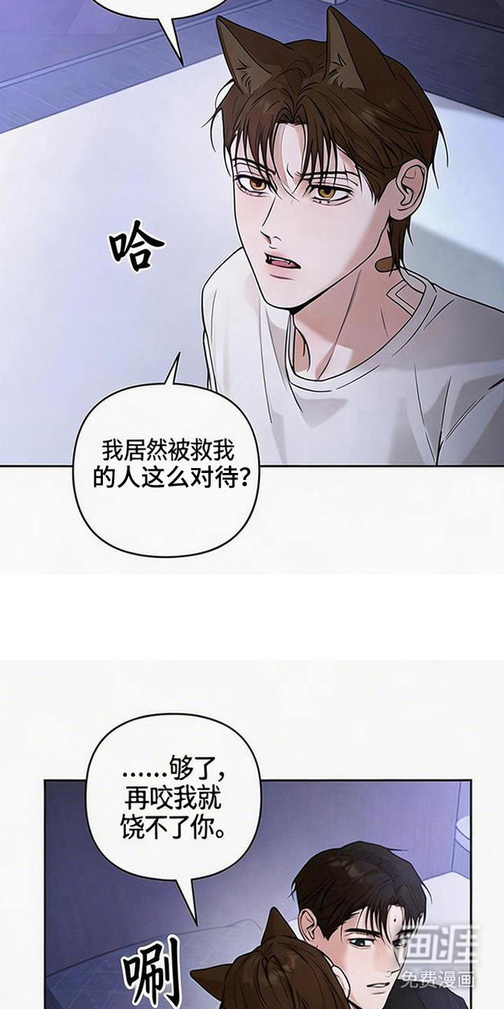 狐祸相依漫画-图13