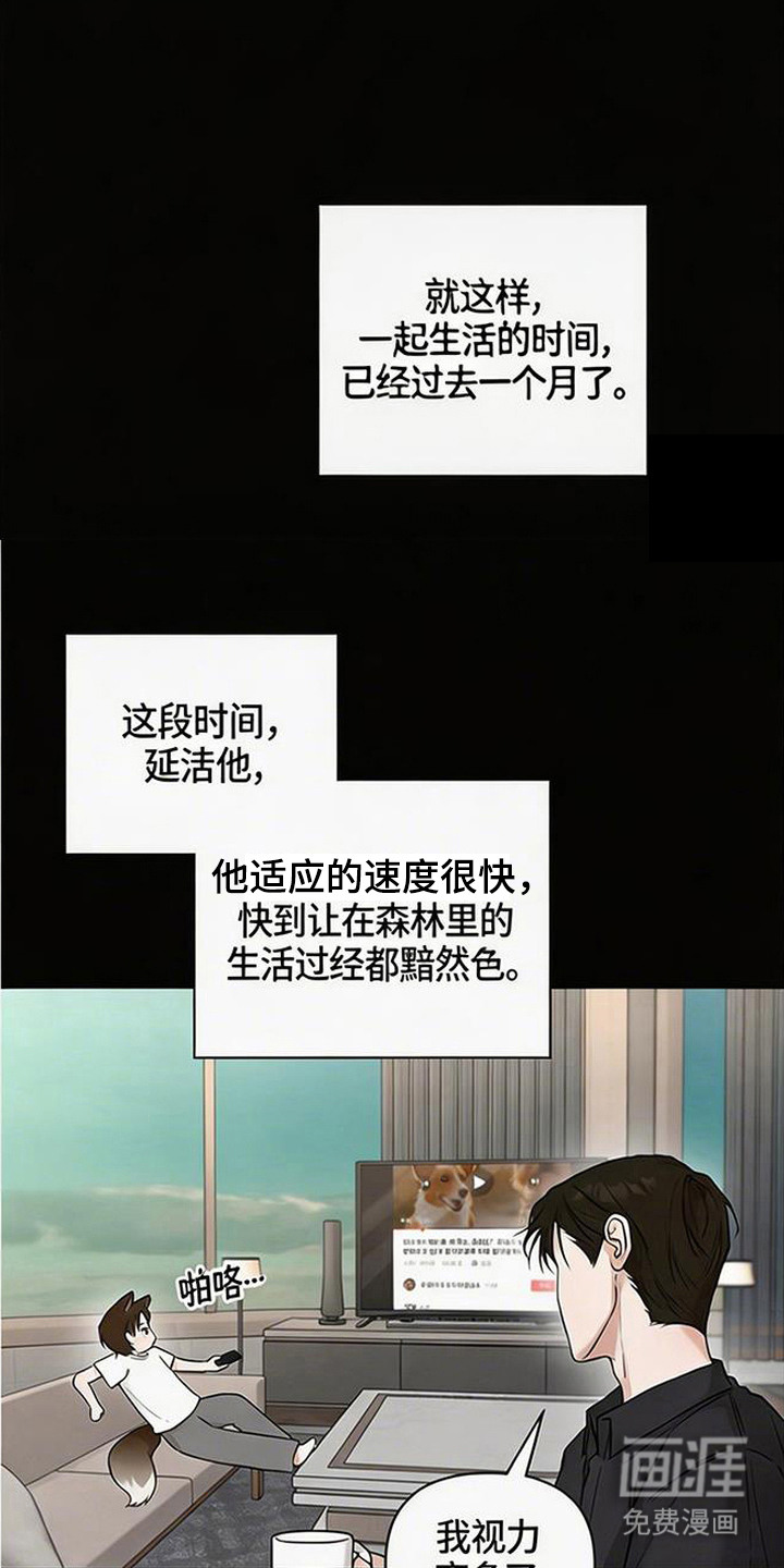 狐祸相依漫画-图1