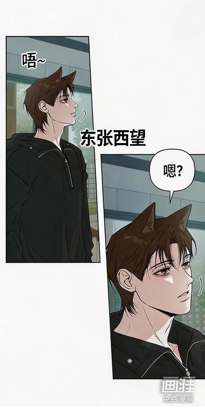 狐祸相依漫画-图18