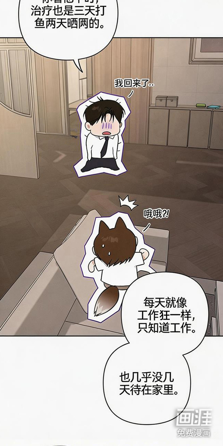 狐祸相依漫画-图7
