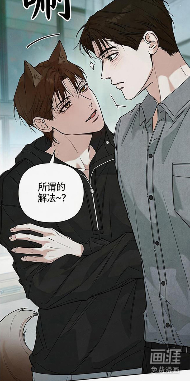 狐祸相依漫画-图14
