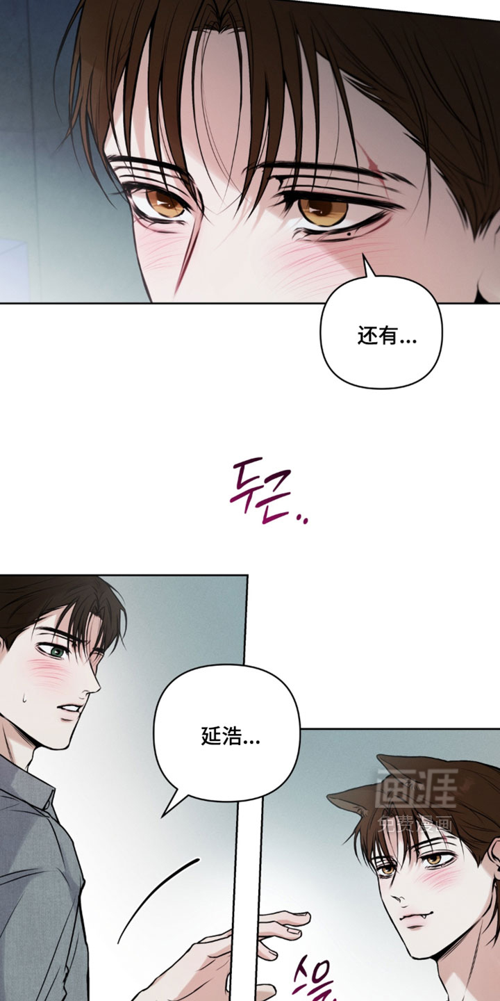 狐祸相依漫画-图1