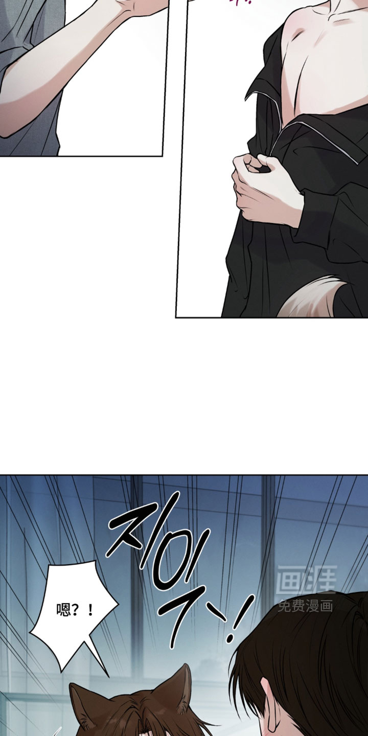 狐祸相依漫画-图2