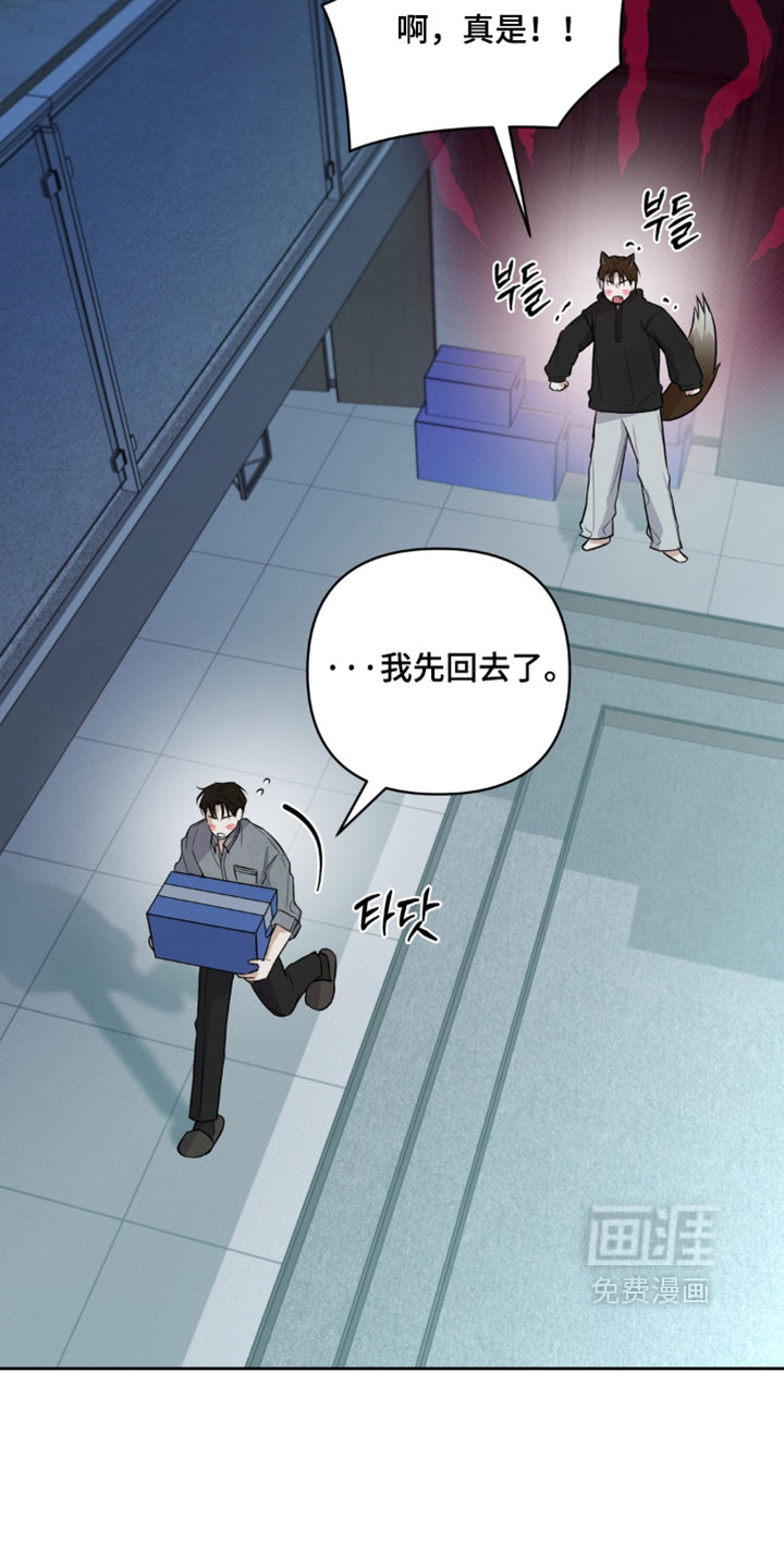 狐祸相依漫画-图4