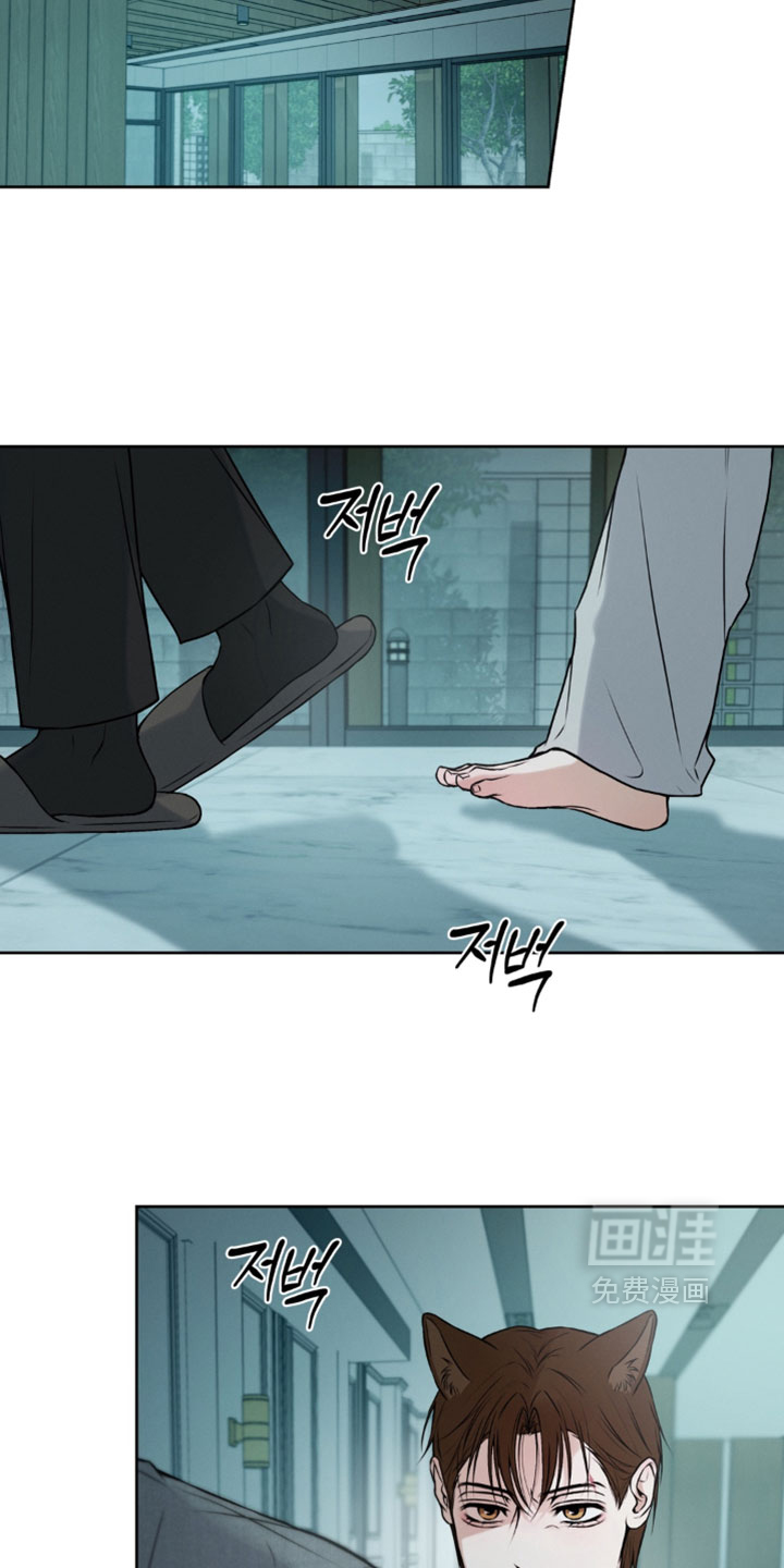 狐祸相依漫画-图6