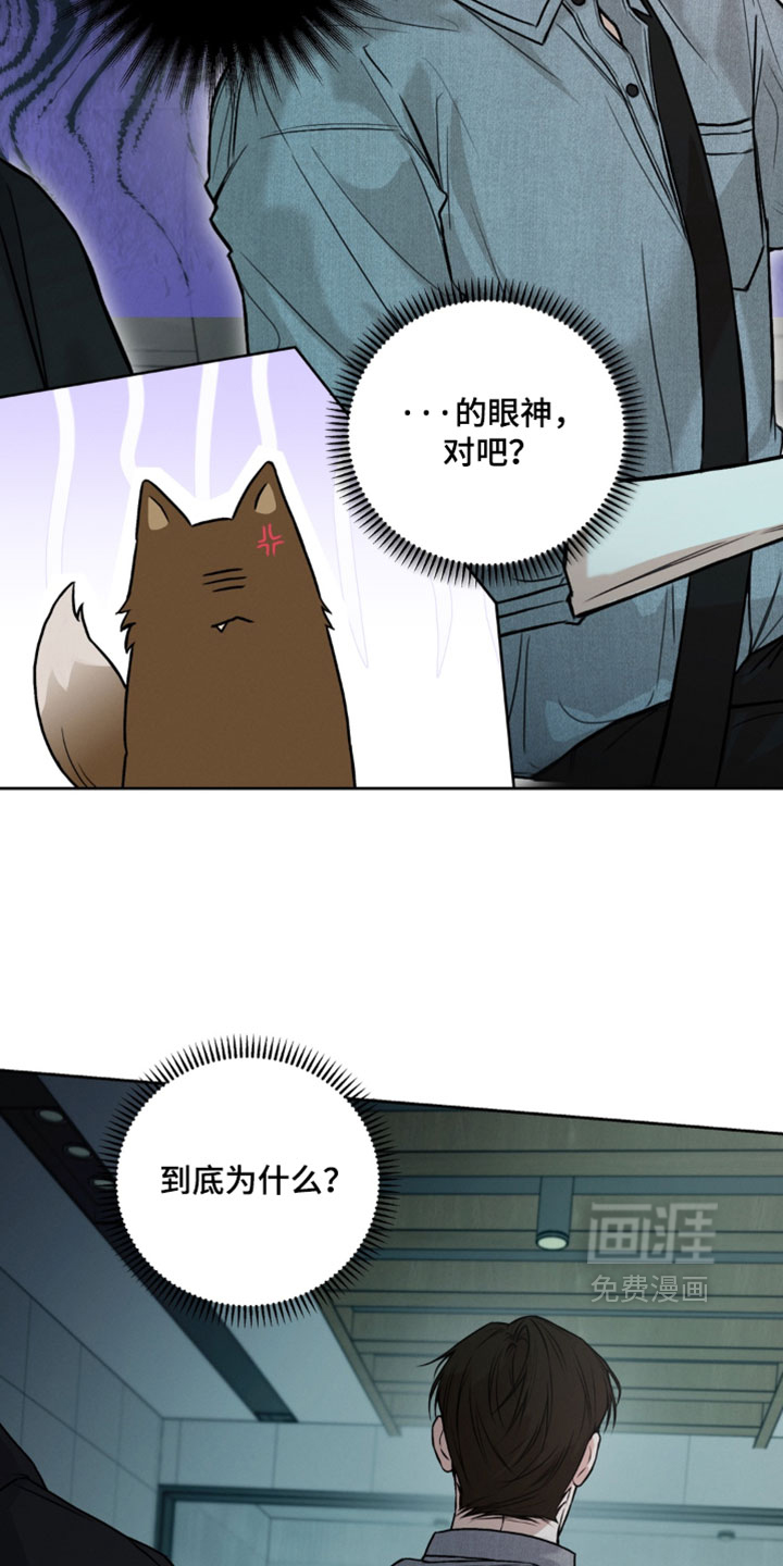 狐祸相依漫画-图8