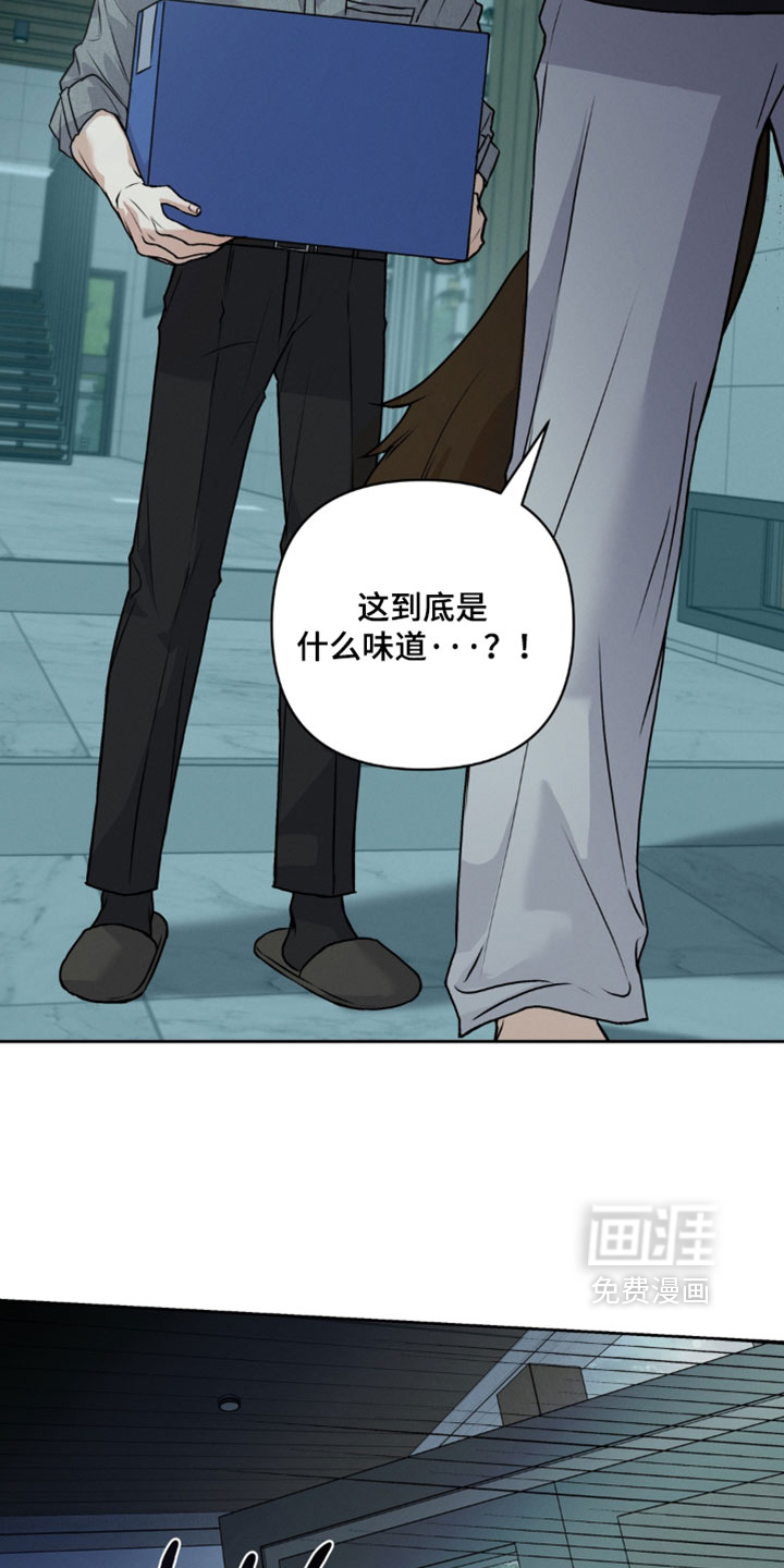 狐祸相依漫画-图13
